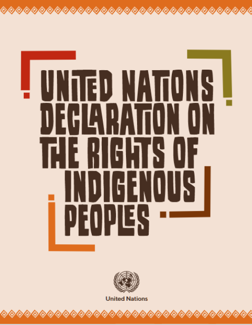 UNDRIP