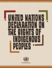 UNDRIP - Erklärung der Vereinten Nationen zu den Rechten der Indigenen Völker